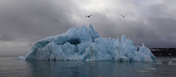 Экспедиция Национального парка Русская Арктика Экспедиция Национального парка Русская Арктика - Sputnik Молдова