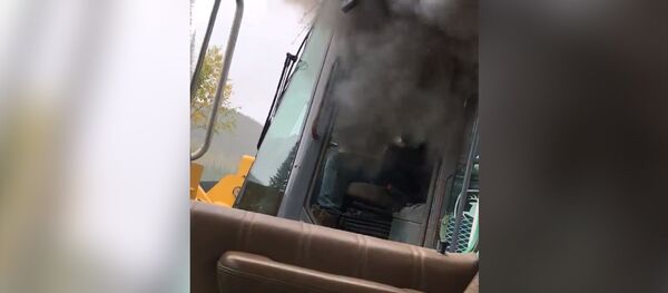 Șofer - TIR - Sputnik Moldova