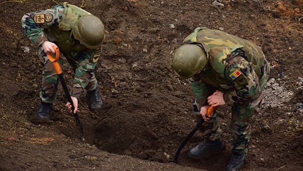 22 de obiecte explozive, distruse de geniştii Armatei Naţionale - Sputnik Молдова