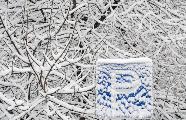Снег на ветвях деревьев и дорожном знаке в Москве - Sputnik Moldova-România
