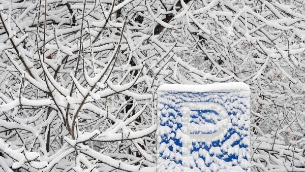 Снег на ветвях, иллюстративное фото.  - Sputnik Молдова