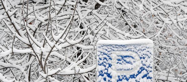 Снег на ветвях, иллюстративное фото.  - Sputnik Молдова