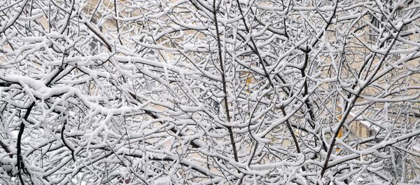 Zăpadă - Sputnik Moldova