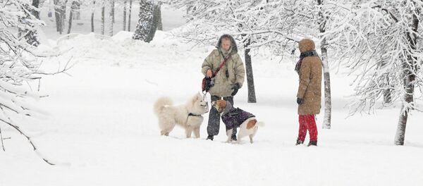 Moscova, sub nămeți. În această noapte a fost înregistrată cea mai mare cantitate de precipitații din ultimii 140 de ani. - Sputnik Moldova