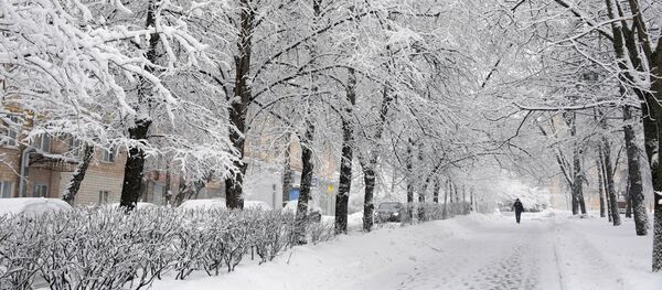 Прохожие на заснеженной улице - Sputnik Молдова