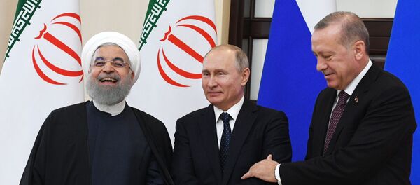 Рабочая поездка президента РФ В. Путина  в Сочи - Sputnik Молдова