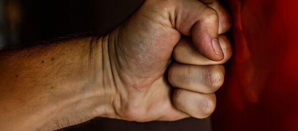 Pumn - Sputnik Moldova