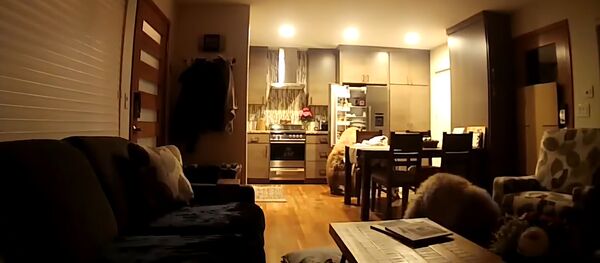 Медведи нашли холодильник - Sputnik Молдова