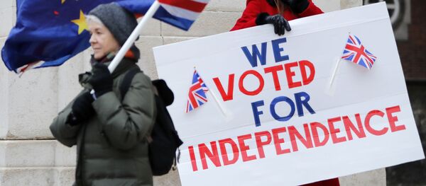 Активист, выступающий за Брексит, держит плакат с надписью Мы проголосовали за независимость, когда противобрексистский активист разворачивает флаги Европейского Союза и Британии во время демонстрации у здания Парламента в центральном Лондоне Активист, выступающий за Брексит, держит плакат с надписью Мы проголосовали за независимость, когда противобрексистский активист разворачивает флаги Европейского Союза и Британии во время демонстрации у здания Парламента в центральном Лондоне - Sputnik Moldova-România