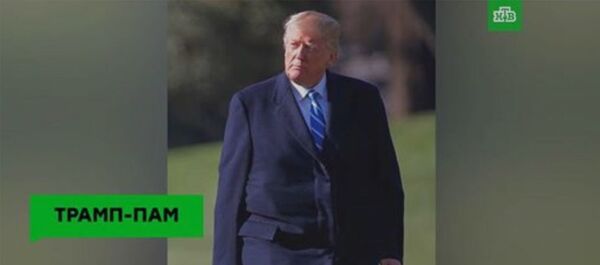 Человек-прикол: Дональд Трамп — 2 года у власти Человек-прикол: Дональд Трамп — 2 года у власти - Sputnik Молдова