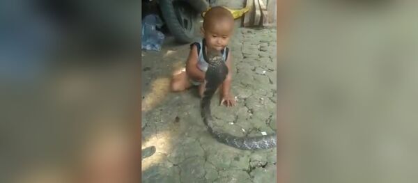 Странные у них в селе коты Странные у них в селе коты - Sputnik Молдова