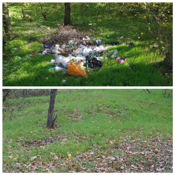 Чиновник и Фотошоп: как мусор научились убирать с помощью компьютера - Sputnik Молдова