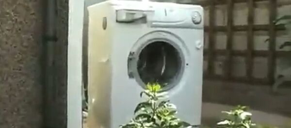 Стиральная машина - Sputnik Молдова