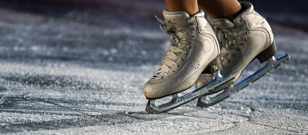 Коньки. - Sputnik Молдова