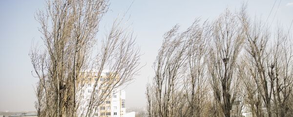 Ветер - Sputnik Молдова