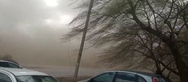 Сильный ветер в Фалештах - Sputnik Молдова