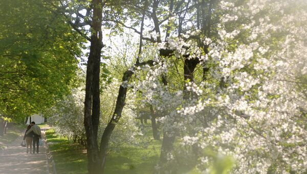 Весна, архивное фото - Sputnik Moldova