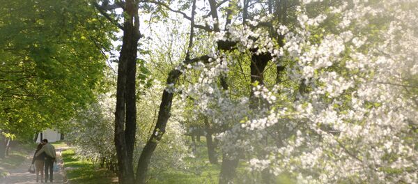 Весна, архивное фото Весна, архивное фото - Sputnik Молдова