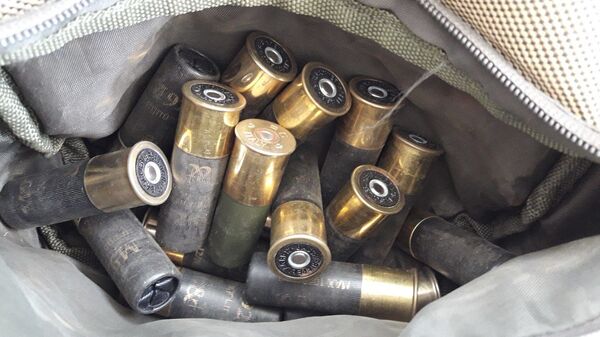 Arme și muniție, depistate în PTF comun Palanca - Sputnik Moldova-România