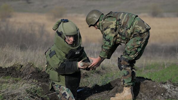 Captură impresionantă de muniţii, distrusă de geniştii militari la Ştefan Vodă - Sputnik Moldova