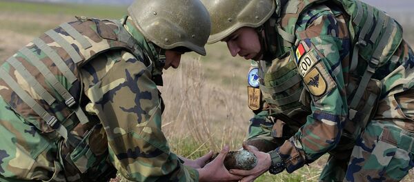 Captură impresionantă de muniţii, distrusă de geniştii militari la Ştefan Vodă - Sputnik Moldova