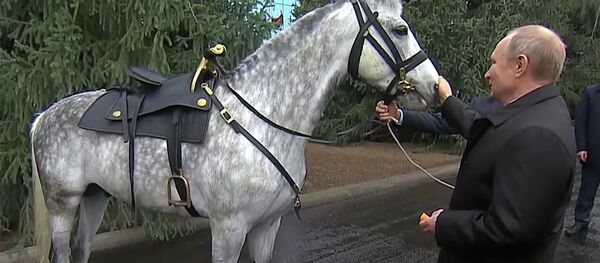 Владимир Путин с орловским скакуном, которого ему подарил президент Киргизии Сооронбай Жээнбеков Владимир Путин с орловским скакуном, которого ему подарил президент Киргизии Сооронбай Жээнбеков - Sputnik Молдова