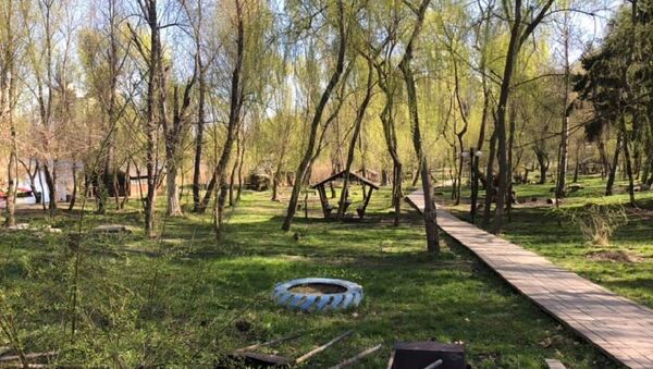 Parcul Valea Trandafirilor - Sputnik Moldova