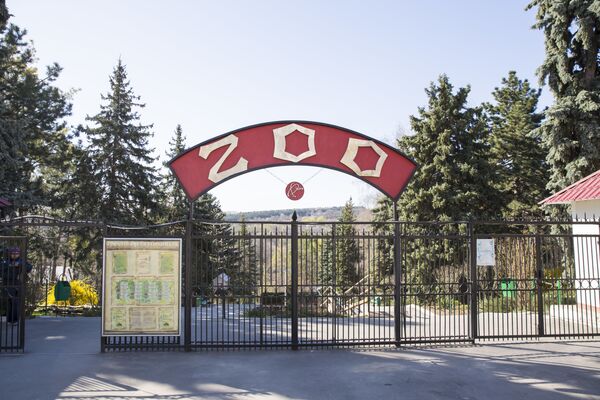 Бэби-бум в зоопарке Кишинева - Sputnik Moldova