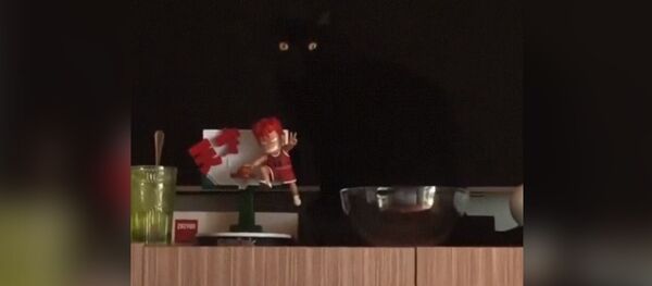 Если долго всматриваться в бездну — бездна начнёт всматриваться в тебя Если долго всматриваться в бездну — бездна начнёт всматриваться в тебя - Sputnik Молдова