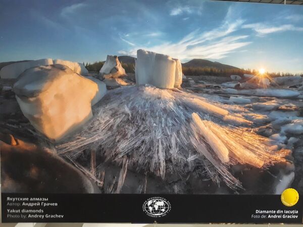 Expoziția #3Rusia file din natură la București, găzduită de Muzeul ”Grigore Antipa” Expoziția #3Rusia file din natură la București, găzduită de Muzeul ”Grigore Antipa” - Sputnik Moldova-România