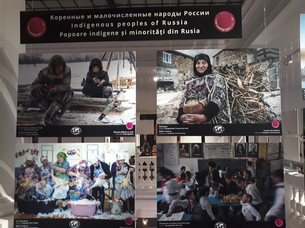 Expoziția #3Rusia file din natură la București, găzduită de Muzeul ”Grigore Antipa” Expoziția #3Rusia file din natură la București, găzduită de Muzeul ”Grigore Antipa” - Sputnik Moldova-România