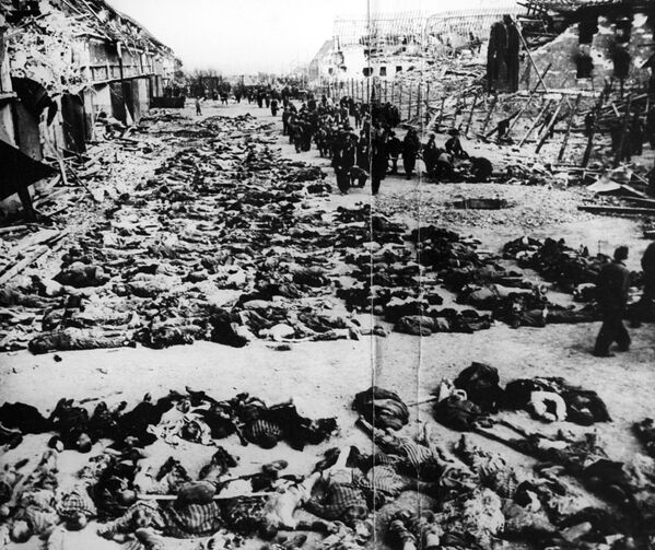 Расстрелянные в срочном порядке 2000 узников фашисткого концлагеря Клоога на территории оккупированной Эстонии во время Великой Отечественной войны, 1944 год - Sputnik Молдова