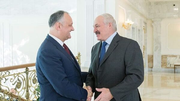 Президент Молдовы Игорь Додон и лидер Республики Беларусь Александр Лукашенко - Sputnik Молдова