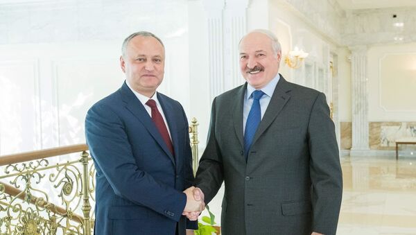 Igor Dodon a avut o întrevedere cu Președintele belarus Alexandr Lukașenko - Sputnik Moldova-România