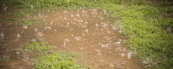 Дождь - Sputnik Moldova