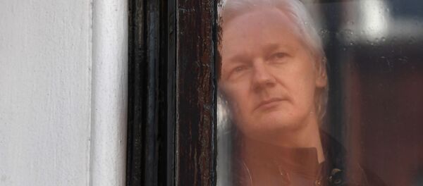 Julian Assange - Sputnik Moldova