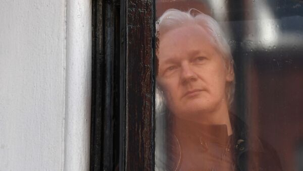 Julian Assange - Sputnik Moldova