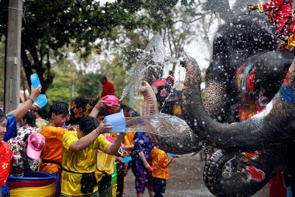 Люди и слоны обливаются водой во время празднования тайского Нового года - Sputnik Moldova-România