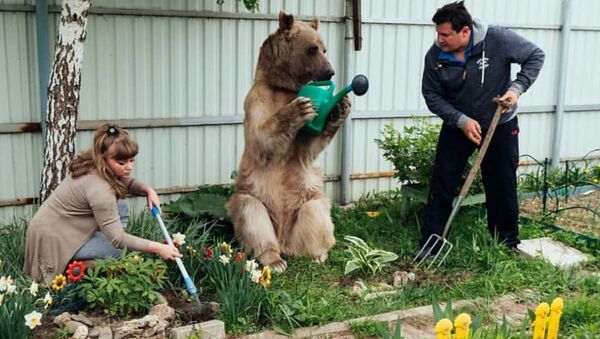 Невероятная жизнь медведя Степы - Sputnik Молдова