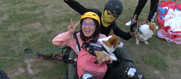 КОРГИниальность: в Китае можно полетать на параплане со своим псом КОРГИниальность: в Китае можно полетать на параплане со своим псом - Sputnik Молдова