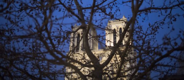 Собор Нотр-Дам де Пари в Париже - Sputnik Молдова