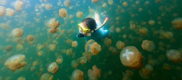 000 000 - Sputnik Молдова