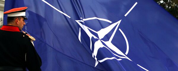 Drapelul NATO Drapelul NATO - Sputnik Moldova