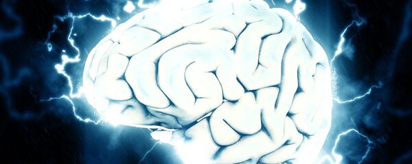 Иллюстрация мозга человека, архивное фото Иллюстрация мозга человека, архивное фото - Sputnik Молдова