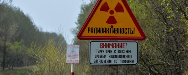 Белорусский сектор зоны отчуждения Чернобыльской АЭС - Sputnik Moldova
