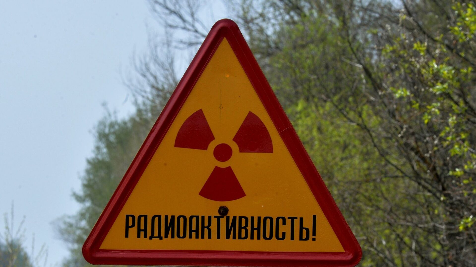 Белорусский сектор зоны отчуждения Чернобыльской АЭС - Sputnik Молдова, 1920, 05.09.2022