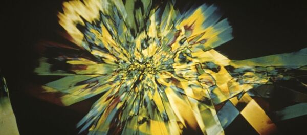 Кристализация бактерий - Sputnik Молдова