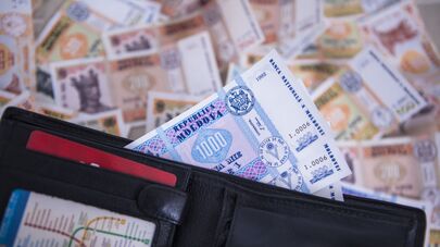 Молдавские леи