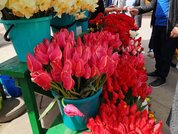 Кишиневское кладбище превратили в проезжую часть - 100 строк о наболевшем Кишиневское кладбище превратили в проезжую часть - 100 строк о наболевшем - Sputnik Молдова