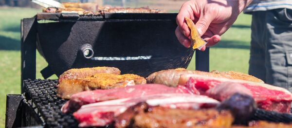 Пикник на природе Пикник на природе - Sputnik Moldova-România